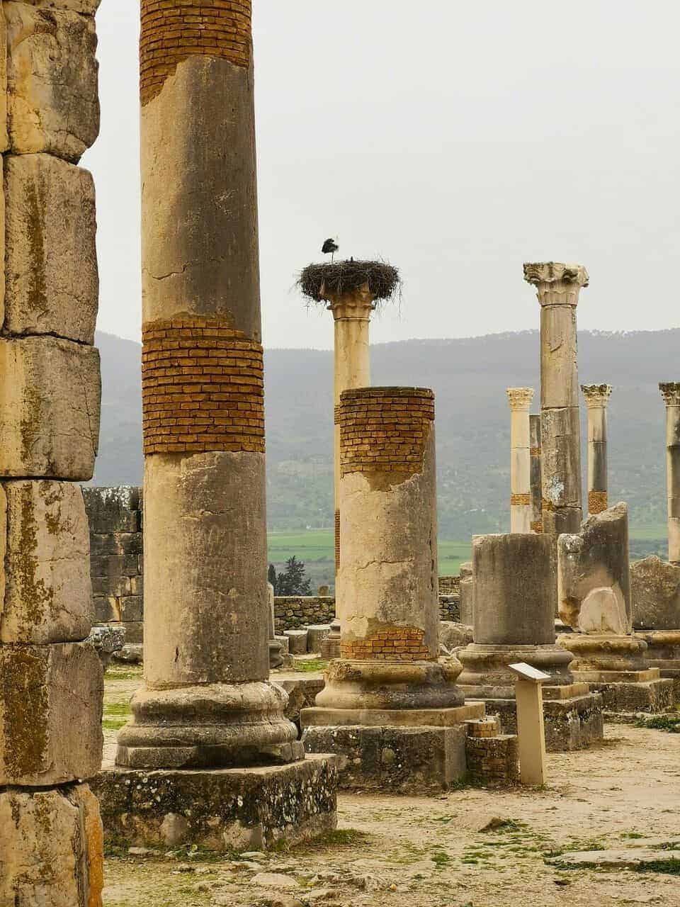 Volbris Volubilis